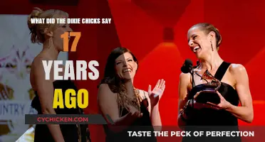 The Dixie Chicks' Controversial Words, 17 Years Later