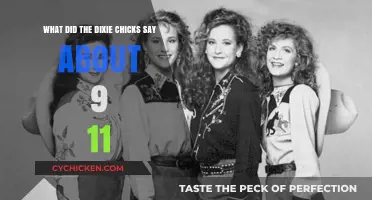 Dixie Chicks' Controversial 9/11 Comments: What Was Said?