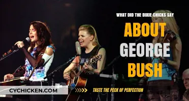 The Dixie Chicks' Controversial Words on George Bush