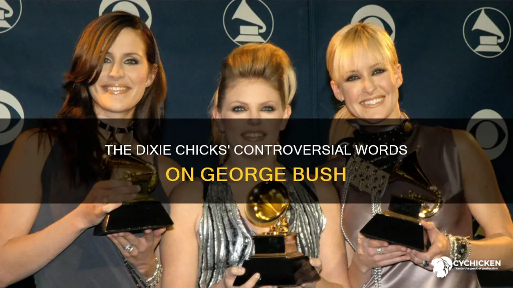 what did the dixie chicks say about george bush