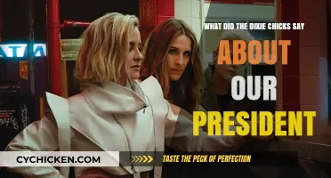 The Dixie Chicks' Controversial Words on the President