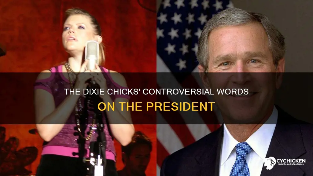 what did the dixie chicks say about our president