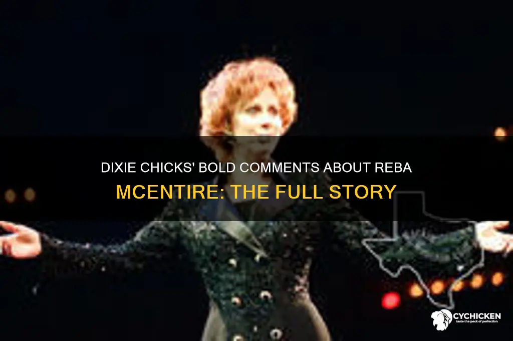 what did the dixie chicks say about reba