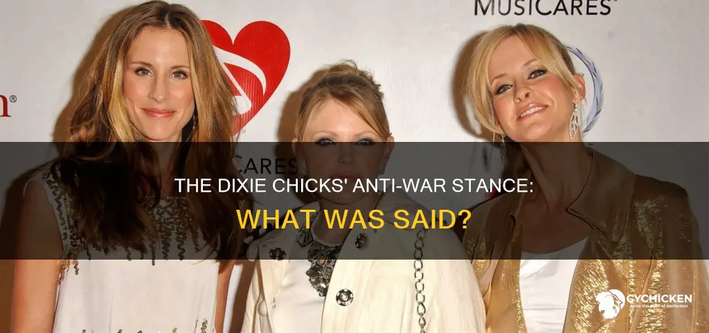 what did the dixie chicks say about the war