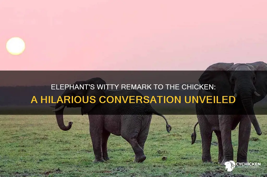 what did the elephant say to the chicken