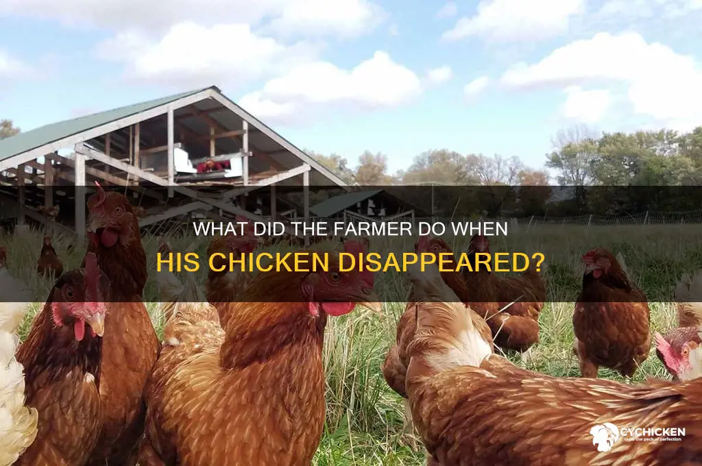 what did the farmer do when his chicken