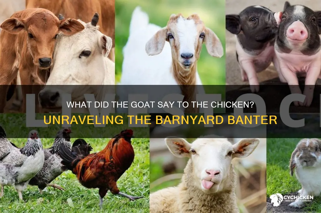 what did the goat say to the chicken