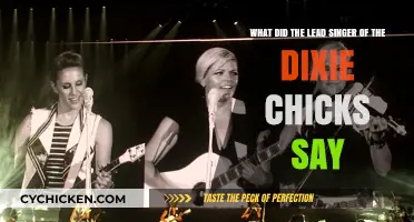 The Dixie Chicks' Singer's Controversial Words