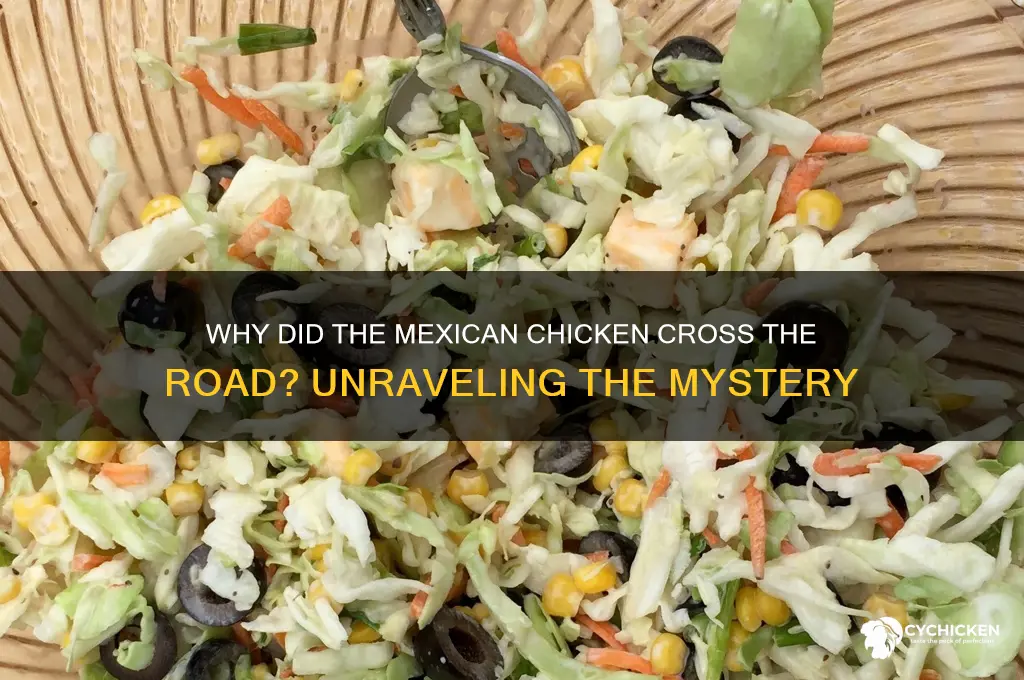 what did the mexican chicken cross the road