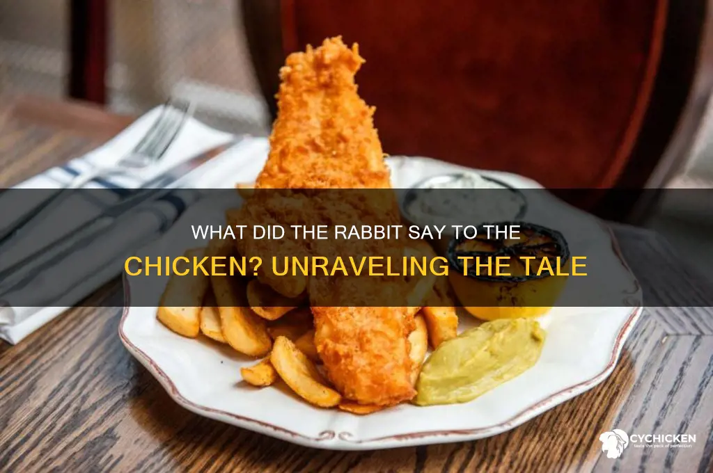what did the rabbit say to the chicken