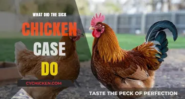 The Sick Chicken Case: Impact on Food Safety and Legal Precedent