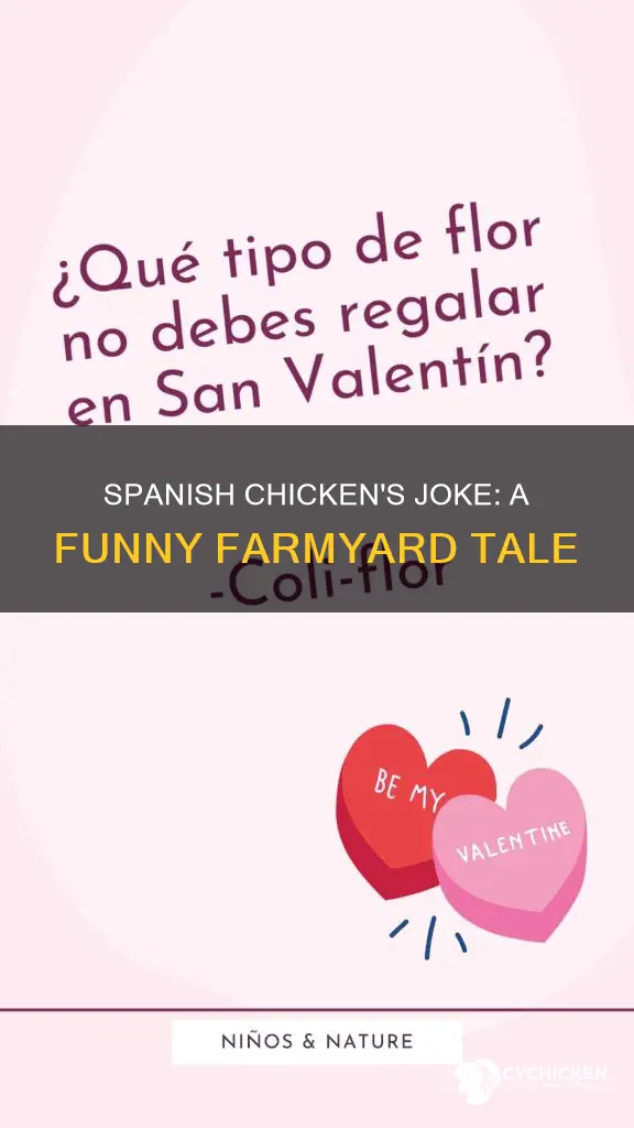 what did the spanish chicken say to his chicken