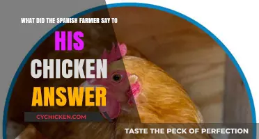 Spanish Farmer's Chicken Chat: A Funny Riddle