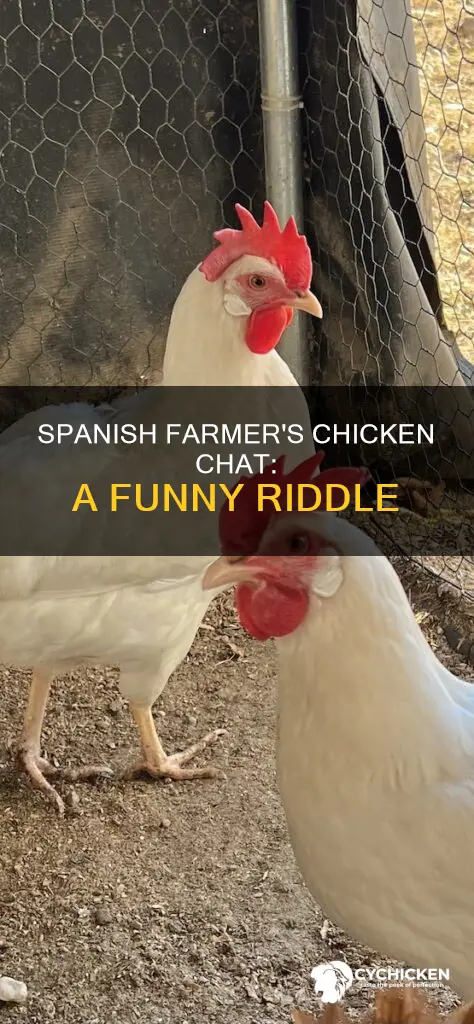 what did the spanish farmer say to his chicken answer