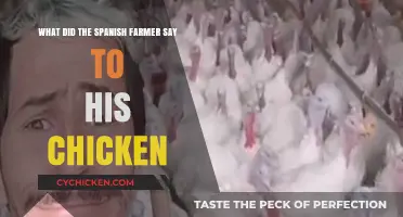 Spanish Farmer's Chicken Chat: A Funny Tale