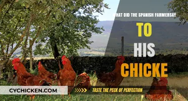 What Did the Spanish Farmer Say to His Chicken? A Humorous Tale