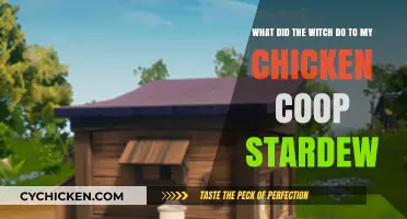 Mysterious Happenings: The Witch's Curse on My Stardew Chicken Coop