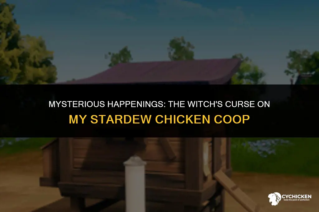 what did the witch do to my chicken coop stardew