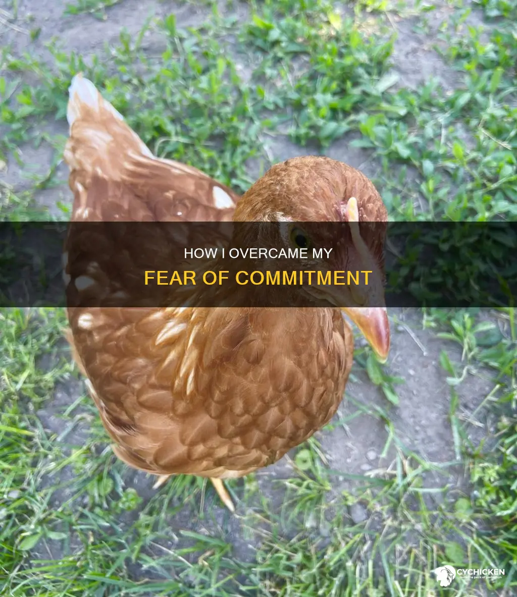 what did you do to chicken out on me