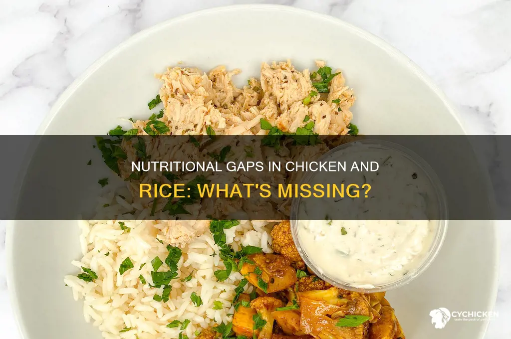 what dies chicken and rice lack from nutrients