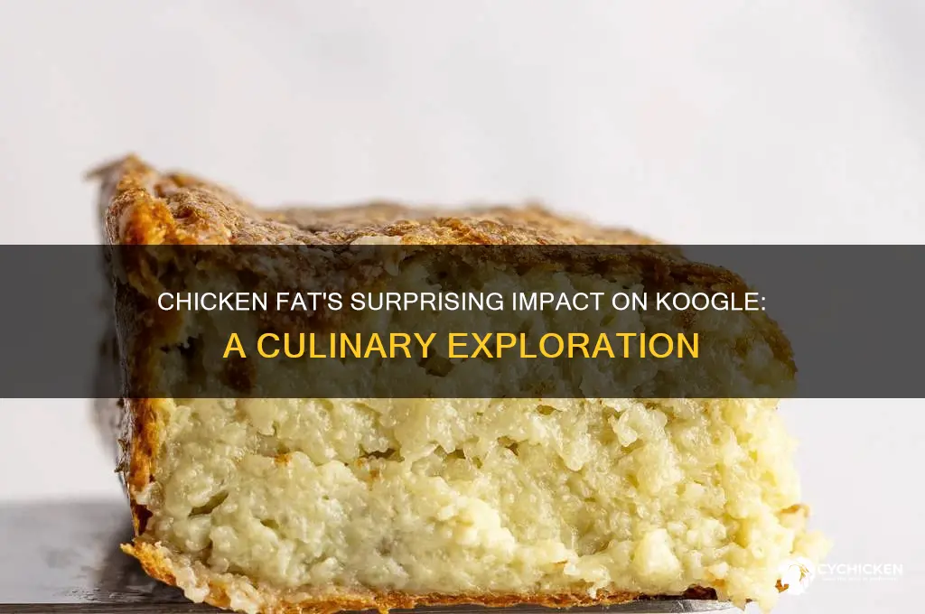 what dies chicken fat do to koogle