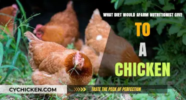 Chicken Diet: Expert Nutritionist's Guide