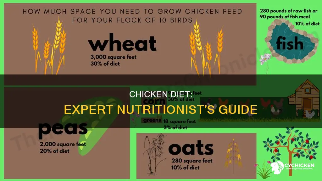 what diet would afarm nutritionist give to a chicken