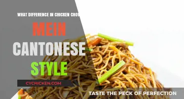 Cantonese Chicken Chow Mein: Unique Flavors and Cooking Techniques Explained