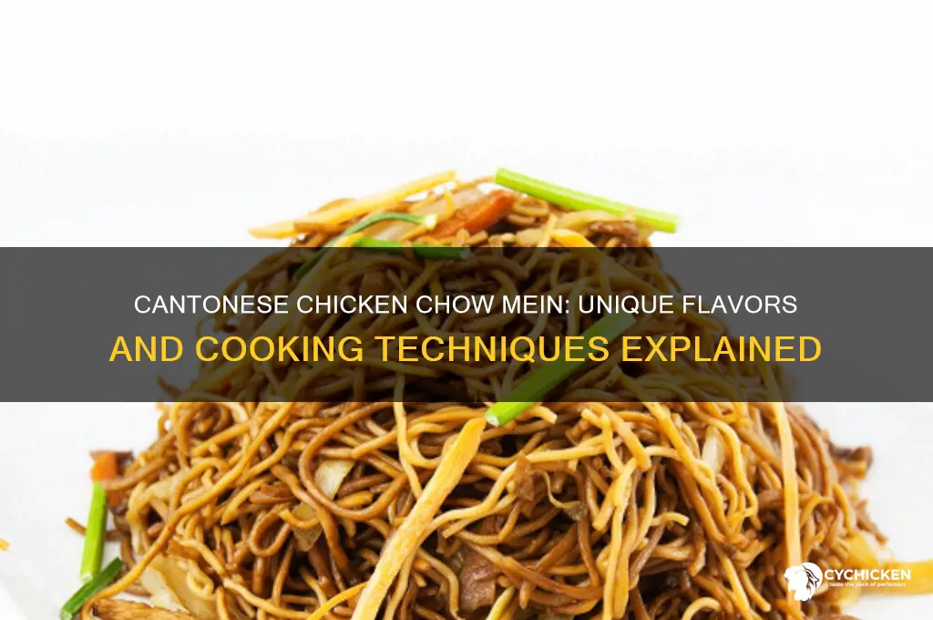 what difference in chicken chow mein cantonese style