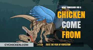 Unveiling the Ancient Ancestor: Which Dinosaur Gave Rise to Chickens?