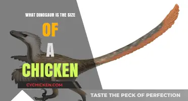Tiny Titans: Discovering Chicken-Sized Dinosaurs of the Ancient World