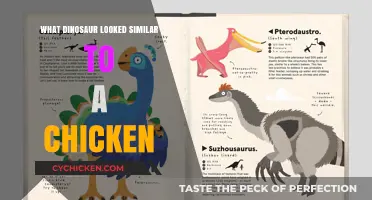 Clucking Through Time: Dinosaur Species Resembling Modern Chickens