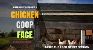 Optimal Orientation: Which Way Should Your Chicken Coop Face?