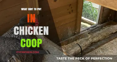 Choosing the Right Dirt for Your Chicken Coop: A Guide