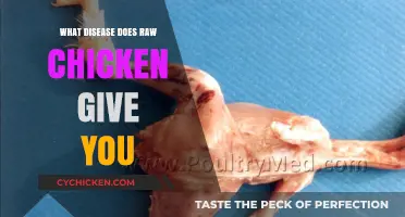 Raw Chicken Risks: Diseases You Can Catch from Undercooked Poultry