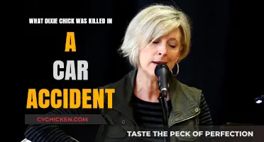 Who Was the Dixie Chick Killed in a Car Accident?