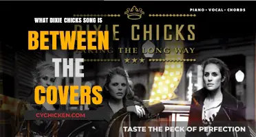 Discovering the Dixie Chicks Song Hidden Between the Covers