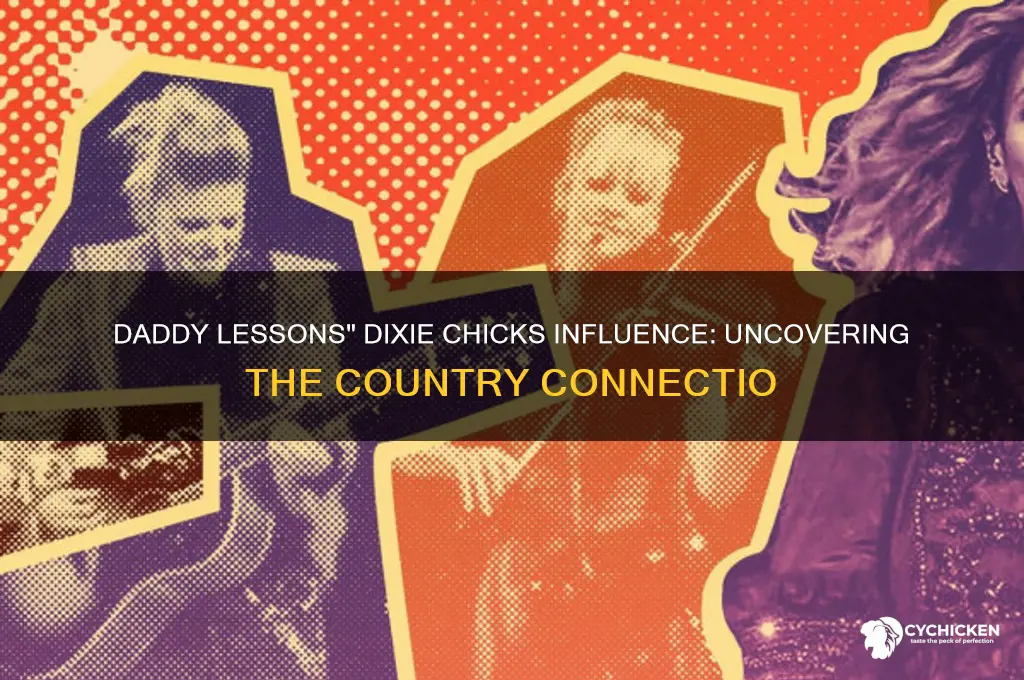 what dixie chicks song is in daddy lessons
