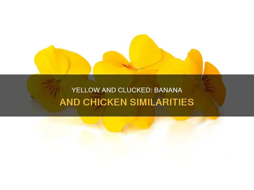 what do a banana and a chicken have in common