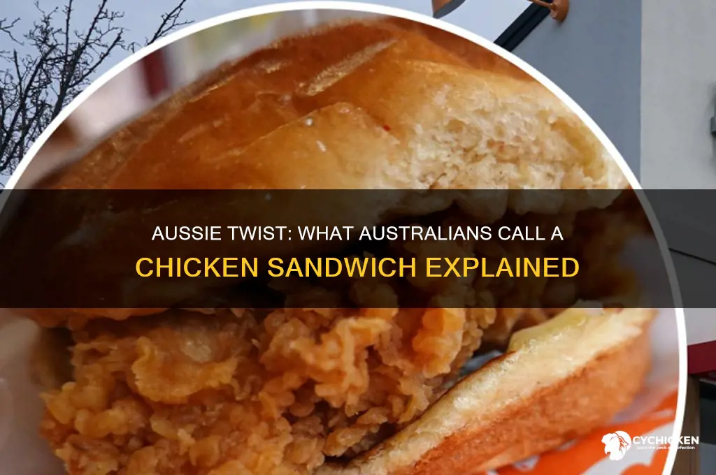 what do austrialians call chicken sandwich