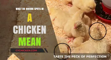Understanding Brown Spots in Chicken: Causes, Safety, and Prevention Tips