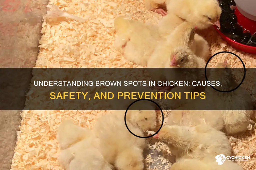 what do brown spots in a chicken mean