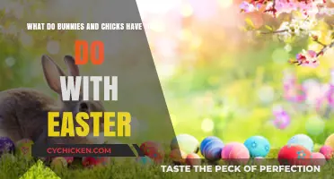 The Easter Bunny and Chick Tradition: Explained