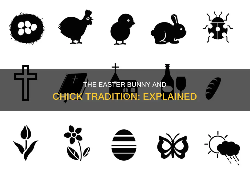 what do bunnies and chicks have to do with easter