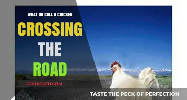 Why Did the Chicken Cross the Road? Unraveling the Classic Riddle