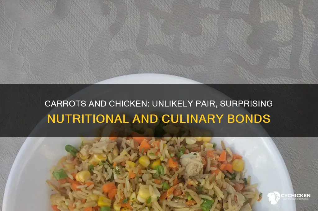what do carrots and chicken have in common