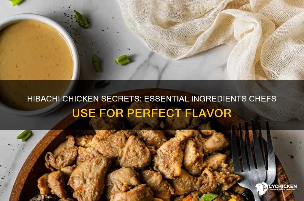 what do chefs put in hibachi chicken