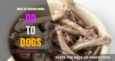 Chicken Bones and Dogs: Risks, Dangers, and What to Do