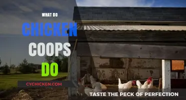 Exploring the Purpose and Benefits of Chicken Coops