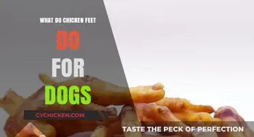 Chicken Feet for Dogs: Surprising Benefits and Nutritional Value